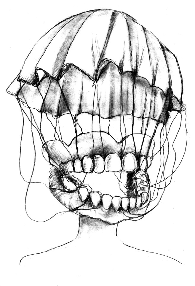 The Invention of Dental Floss - 2014