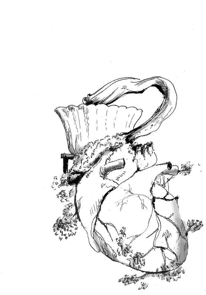 The tree of life - 2014