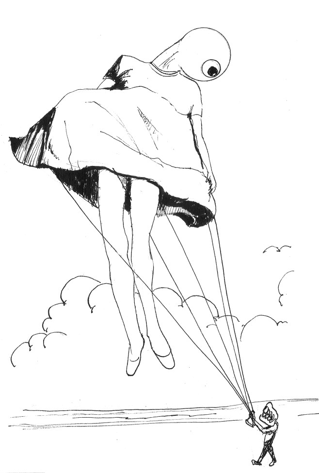 Love my new kite -2014