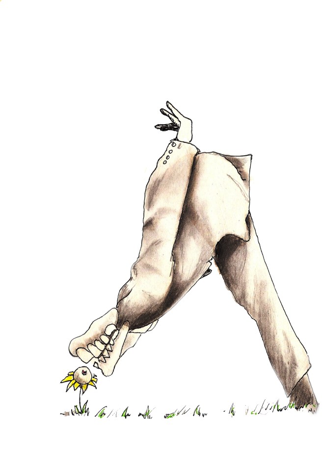 No ordinary world - 2014