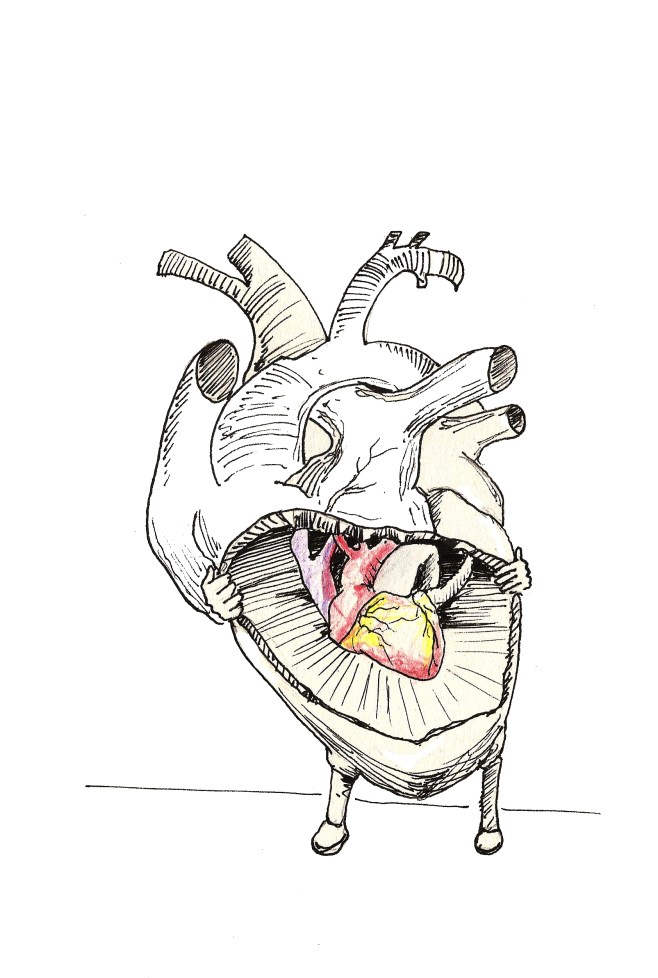 Nothing to hide - 2014