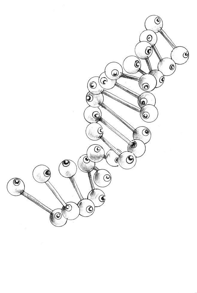 I hate roller coaster ride - 2015