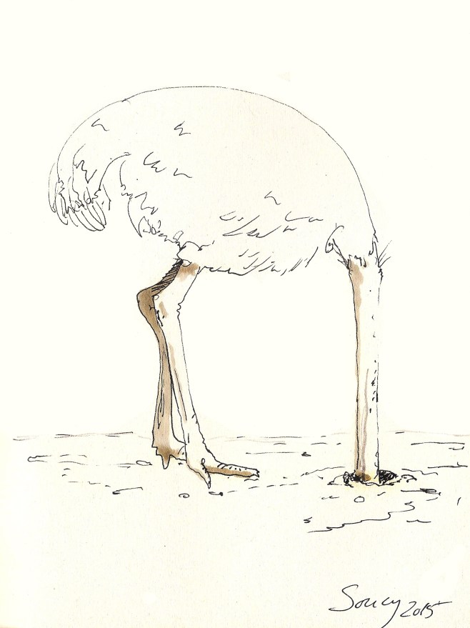 Greece search new solutions