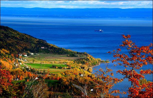 11202816_10153012462257204_2717385957456804214_n