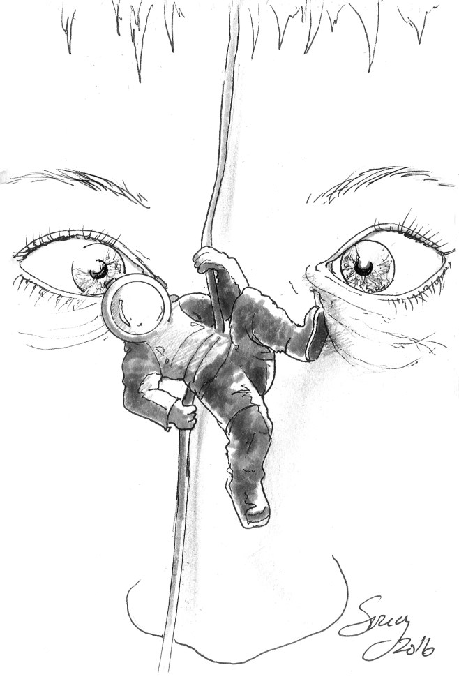 desole-je-ne-suis-que-de-passage-2016